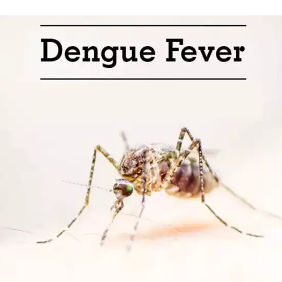 dengue fever combined panel test